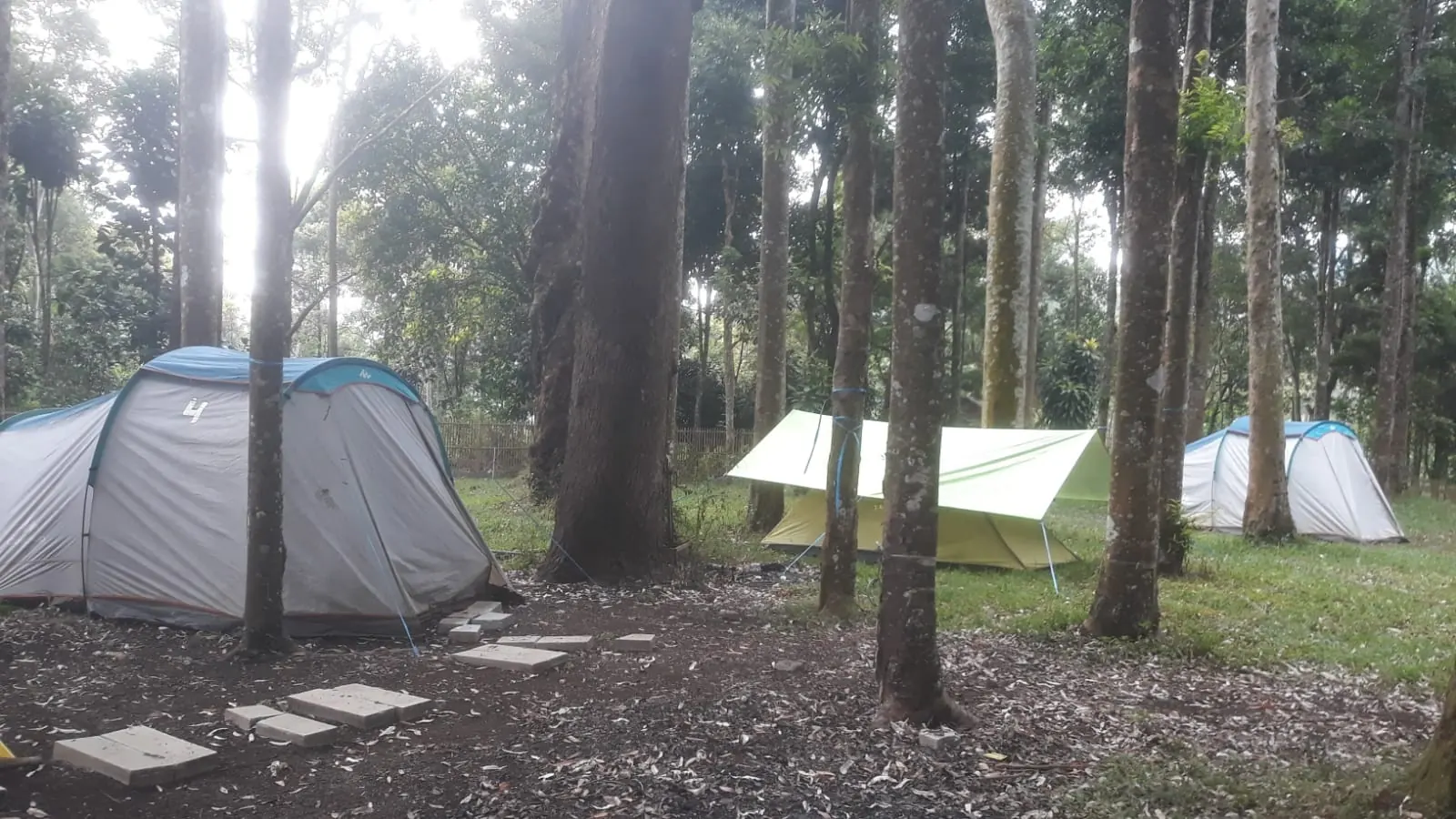 Tenda family camping