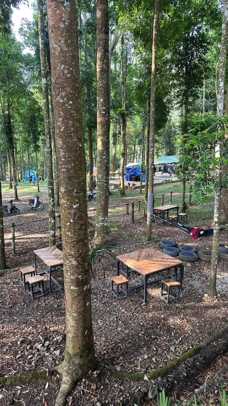 Forest dining di Youlien