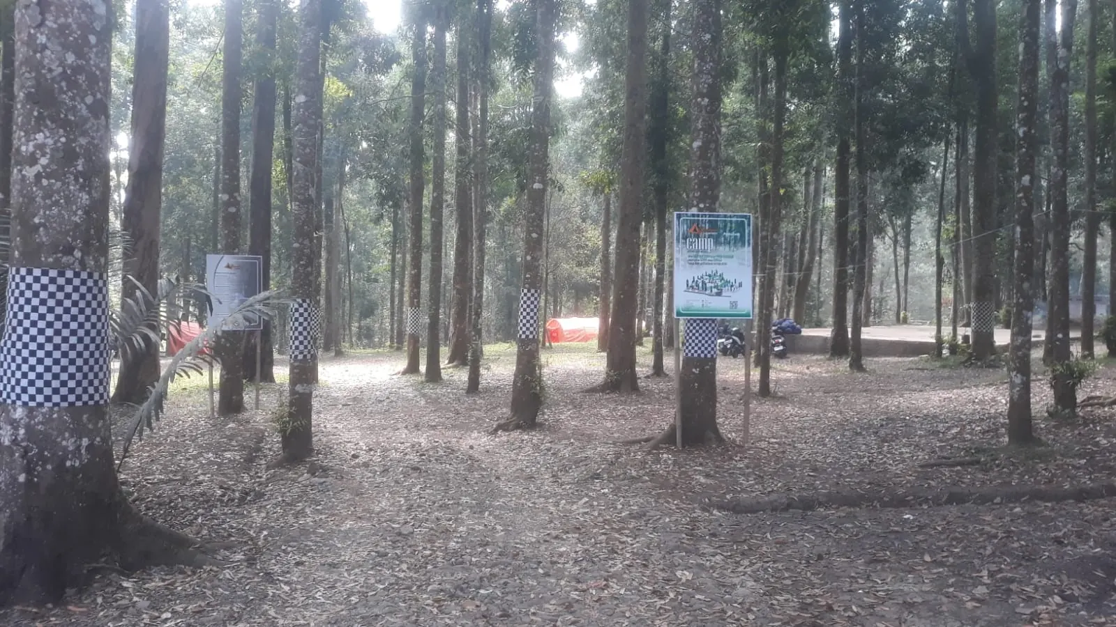 Hutan dan camping ground Youlien Campsite